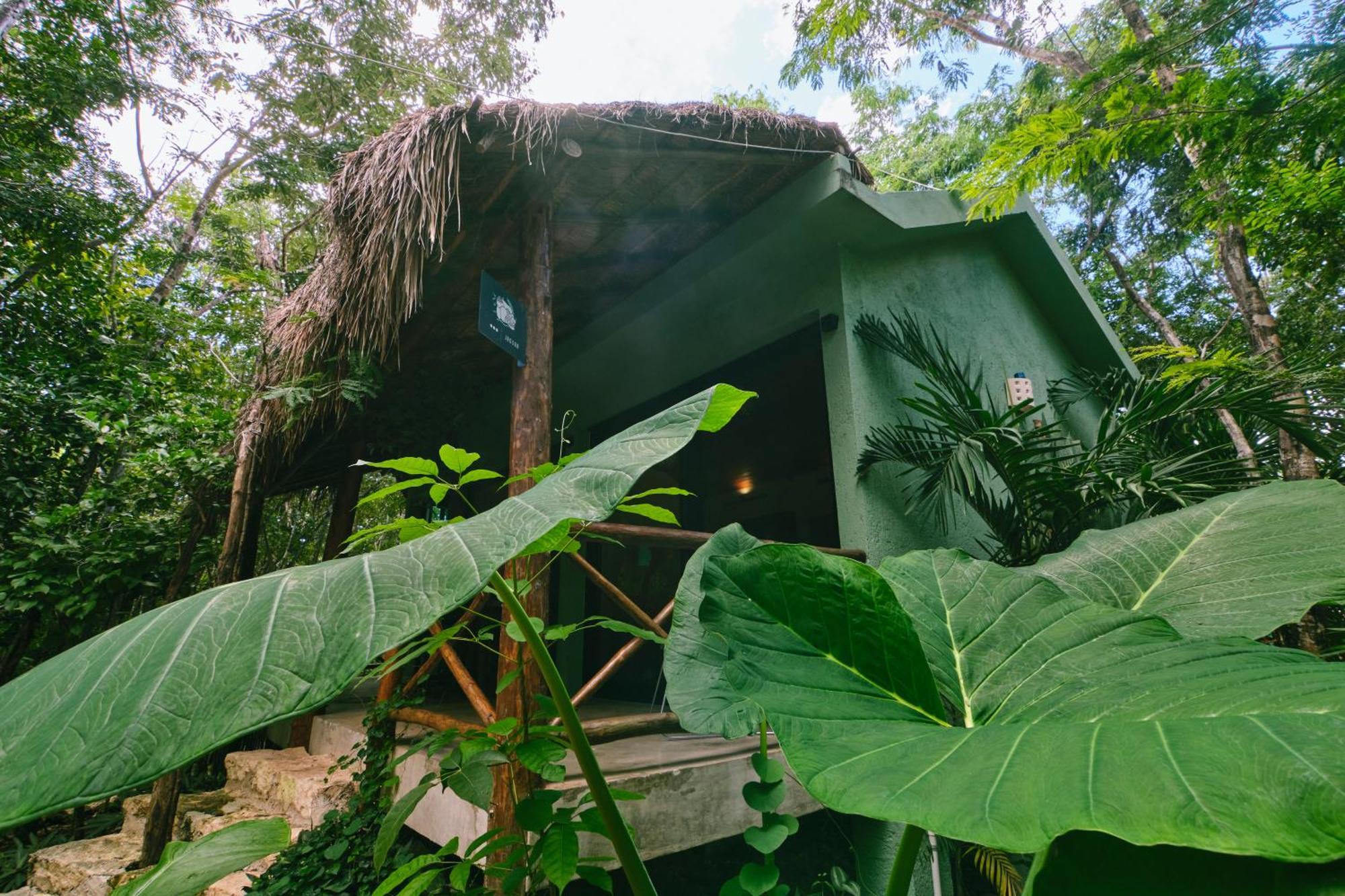 Villas Zamna - Jungle Villas Cozumel Exterior photo