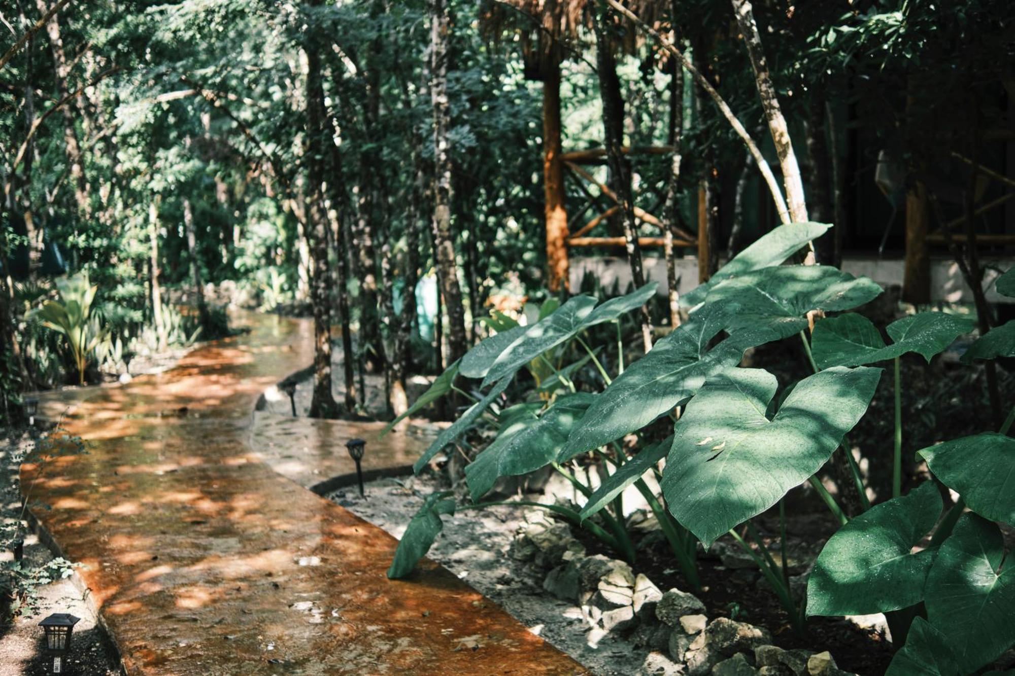 Villas Zamna - Jungle Villas Cozumel Exterior photo