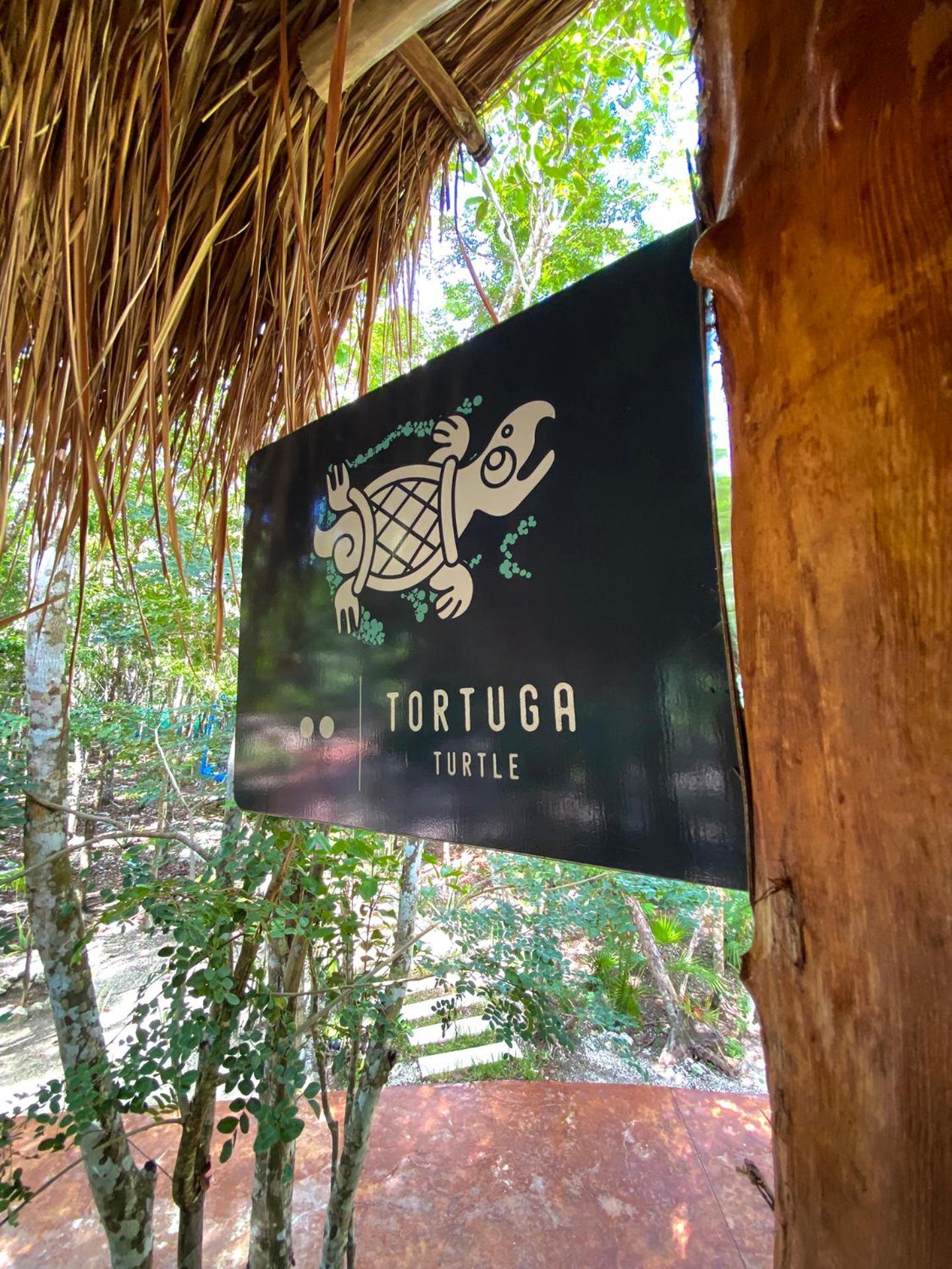 Villas Zamna - Jungle Villas Cozumel Exterior photo