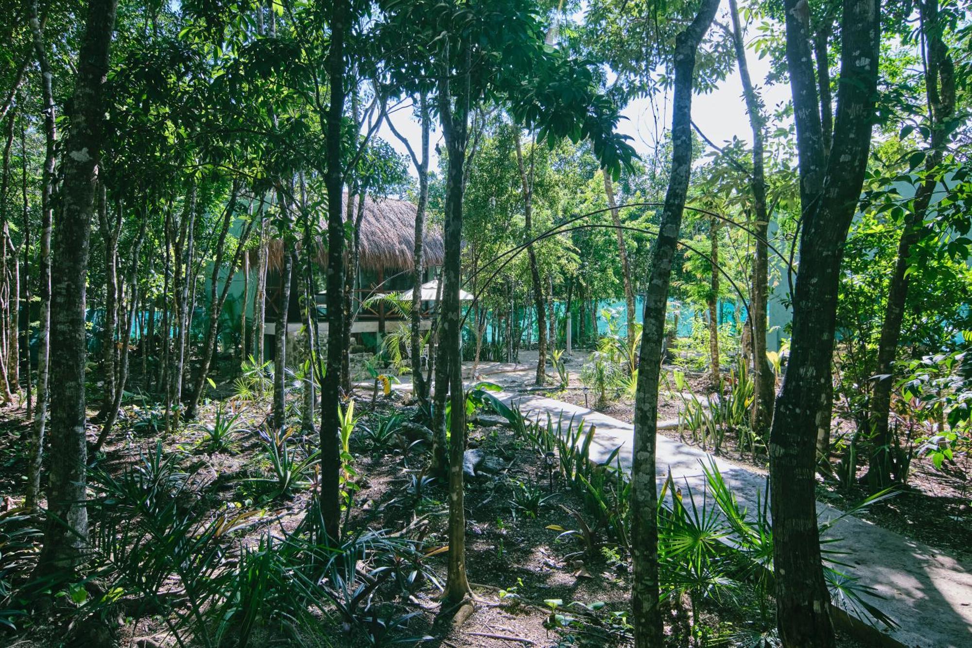 Villas Zamna - Jungle Villas Cozumel Exterior photo